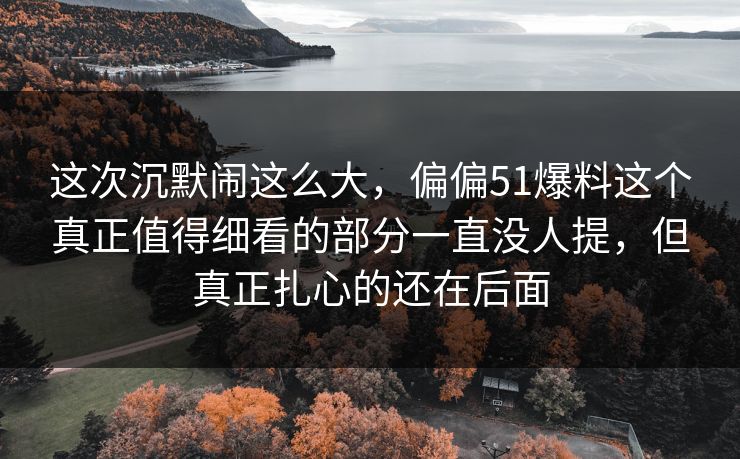 这次沉默闹这么大，偏偏51爆料这个真正值得细看的部分一直没人提，但真正扎心的还在后面