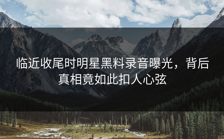 临近收尾时明星黑料录音曝光，背后真相竟如此扣人心弦