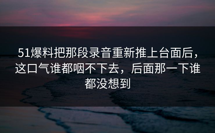 51爆料把那段录音重新推上台面后，这口气谁都咽不下去，后面那一下谁都没想到